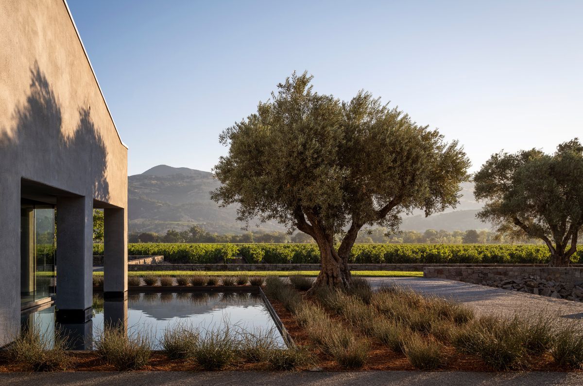 Course Refinement | Cyrus Restaurant