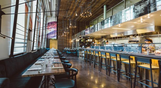 A spacious contemporary restaurant interior with a long communal bar and open kitchen on the right, and a row of set dining tables with banquette seating along the glazed facade on the left. The space features polished dark flooring, exposed suspended services and a distinctive timber lattice ceiling with pendant lights, creating an energetic hospitality setting.