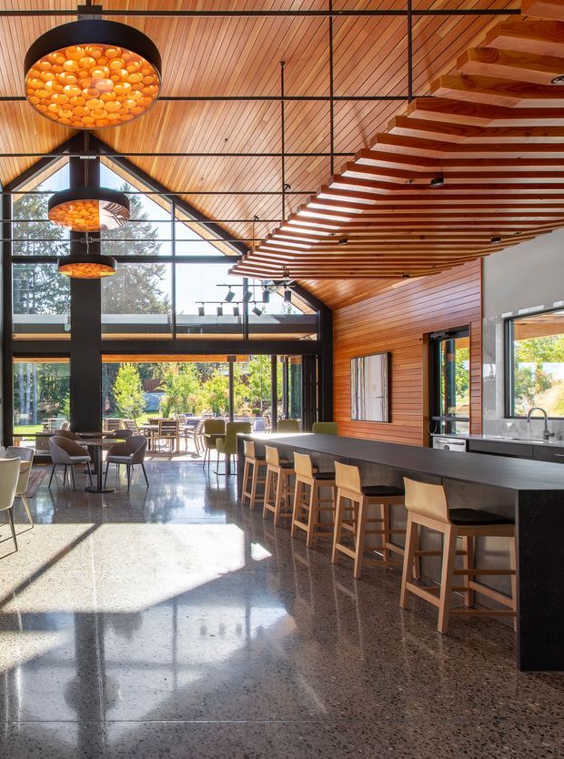 A spacious, light-filled open-plan kitchen and dining area with a dramatic double-height volume. The room features extensive timber lining on the pitched ceiling and walls, exposed dark structural framing, large floor-to-ceiling glazing, a long dark kitchen island with timber stools, polished terrazzo flooring, and sculptural circular pendant lights. A floating timber-slat ceiling feature extends over the kitchen.