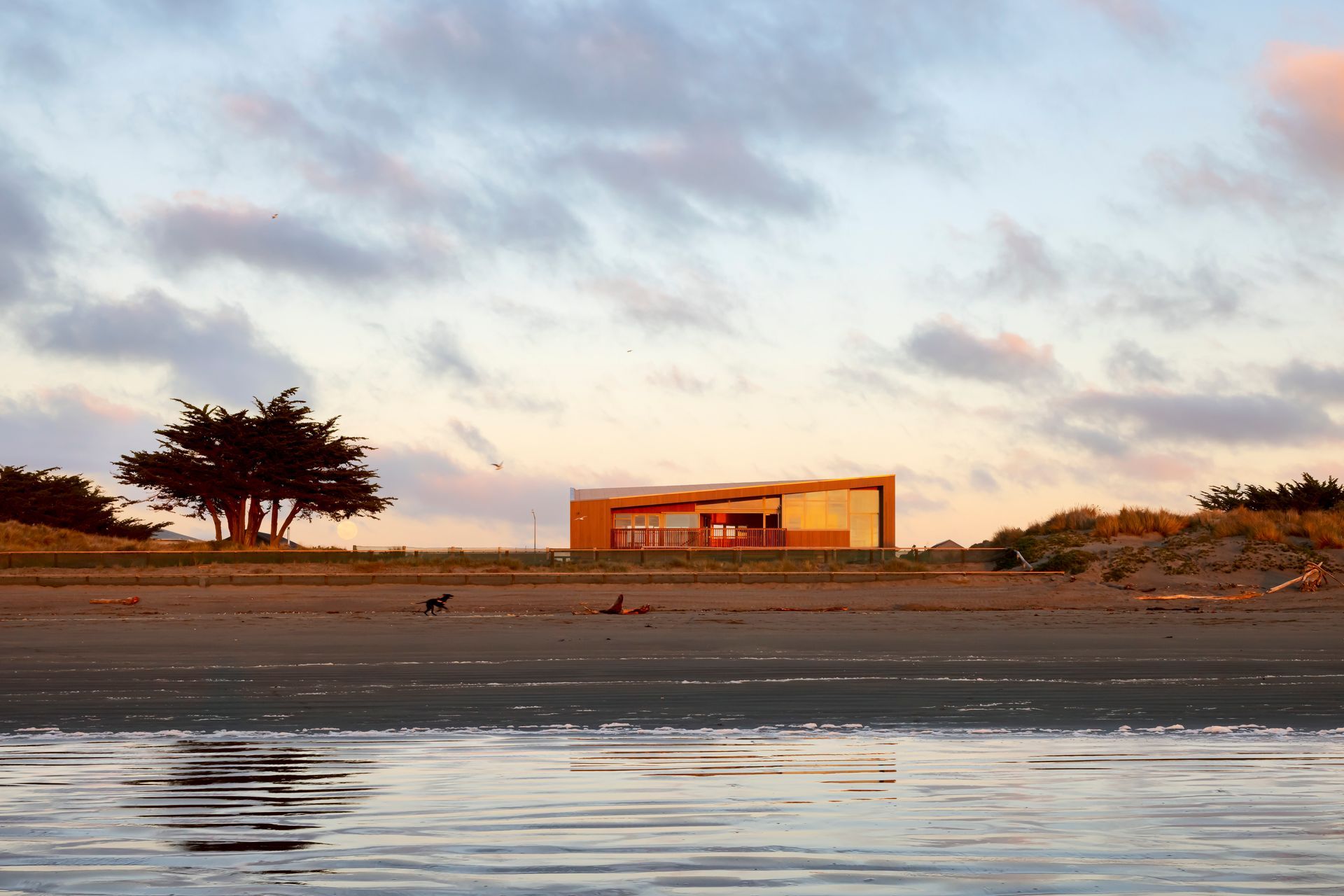 Surf club beach elevation