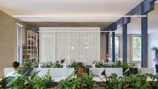 A bright contemporary open-plan interior with rows of planted greenery in the foreground and around a long pale upholstered seating or work area. Exposed dark timber beams span the ceiling and frame the right side, while warm light brick walls, tall windows, built-in shelving, and a large translucent curtain-like room divider define the space. The image appears to show a collaborative workplace or hospitality-style lounge with abundant indoor planting.