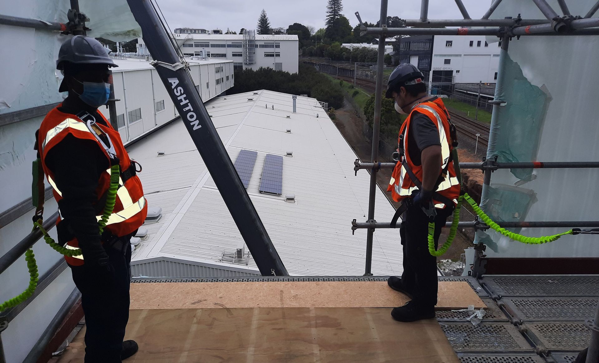 University of Auckland Digital Services