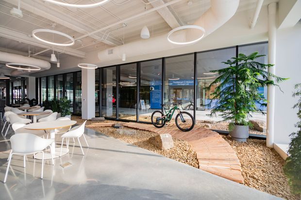 Bright contemporary commercial interior with an open café or breakout seating area, polished concrete floor, exposed white services and ducts, circular pendant lights, extensive black-framed glazing, and an indoor landscaped feature with river stones, timber stepping paths, large rocks, and bicycles displayed within it.