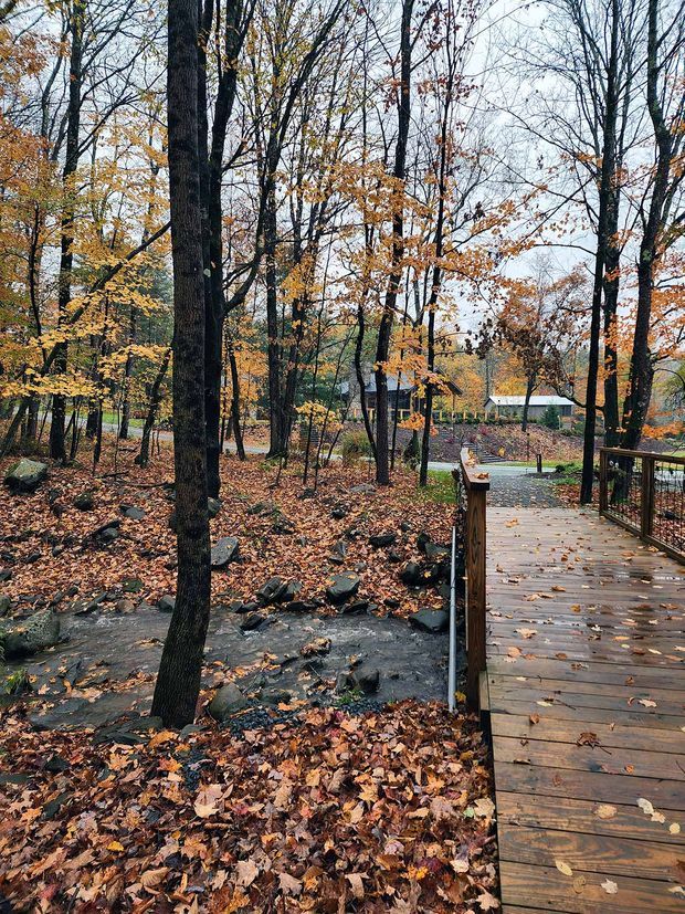 A wooded autumn landscape with a timber boardwalk or deck crossing a shallow rocky stream. Tall deciduous trees with sparse orange and brown leaves surround the water, while a landscaped garden and small structure are visible in the background. The scene has a natural, secluded outdoor character.