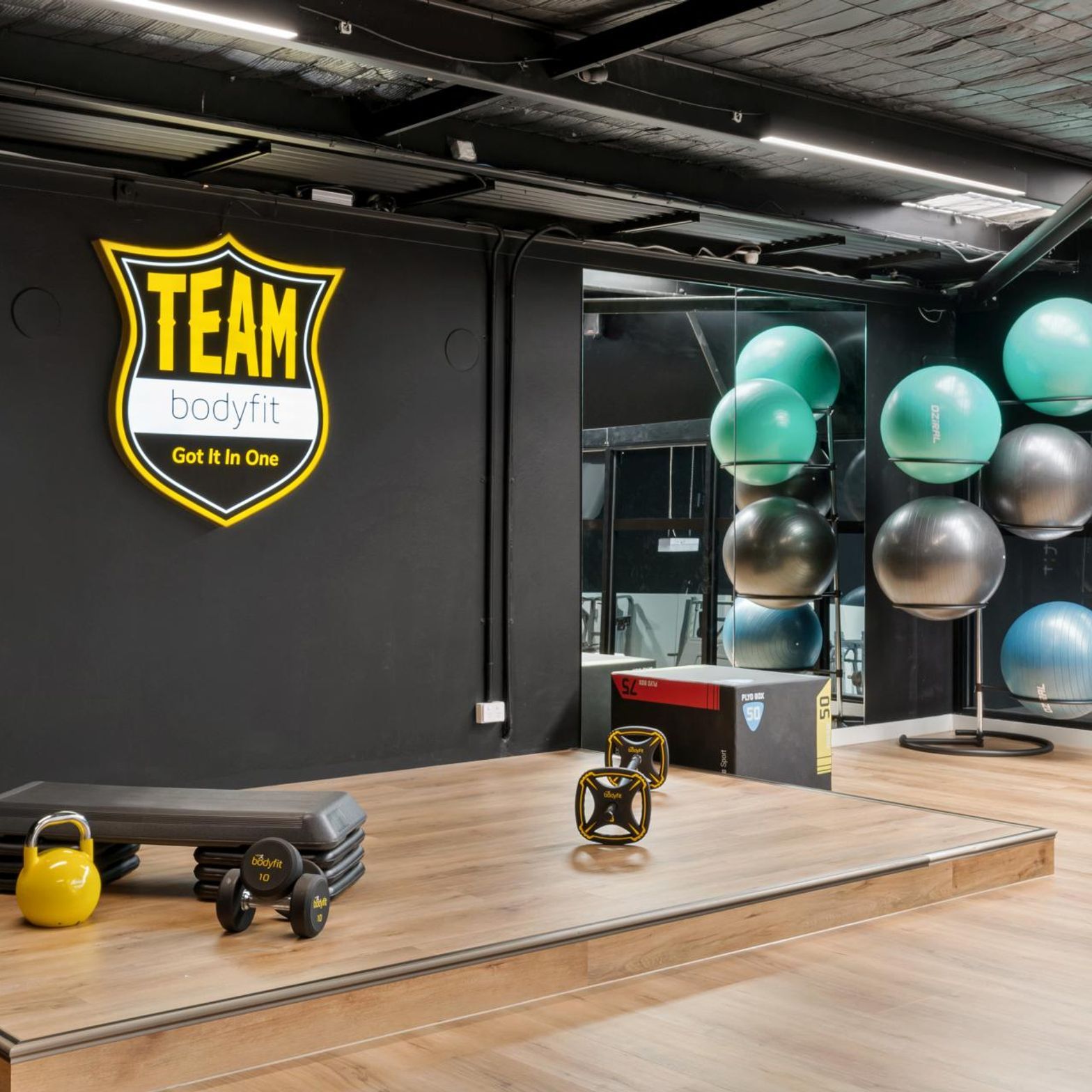 Bodyfit16.jpg