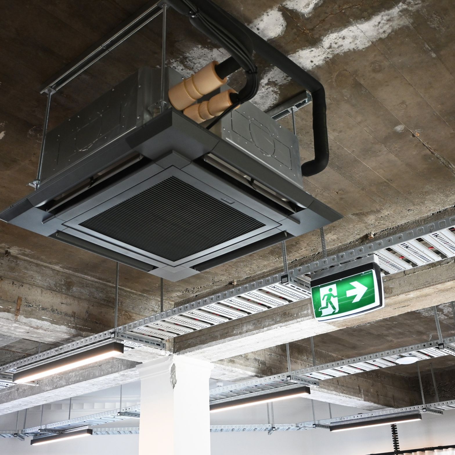DSC3750-ap-compressed.jpg