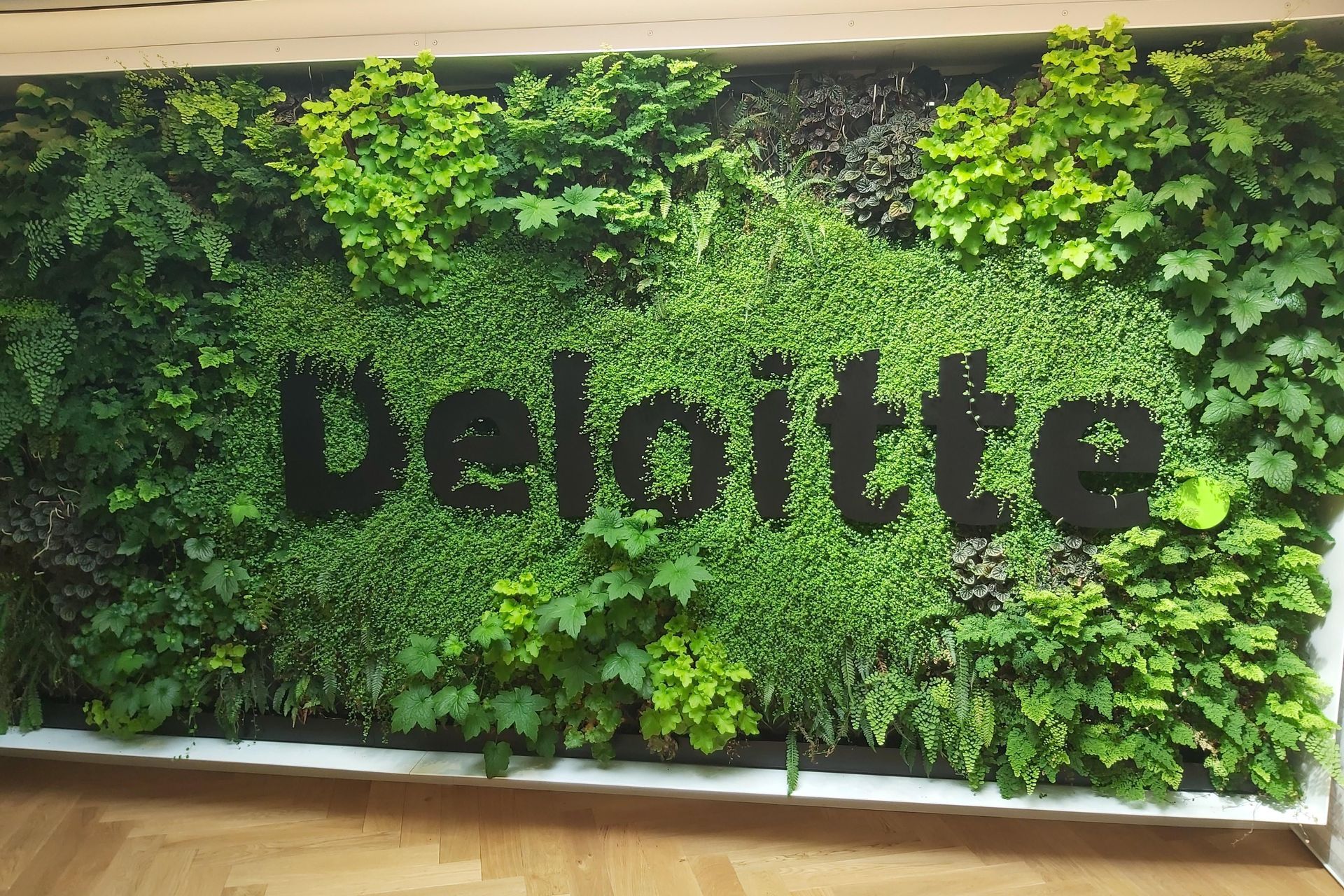 Deloitte Green Wall, Dunedin