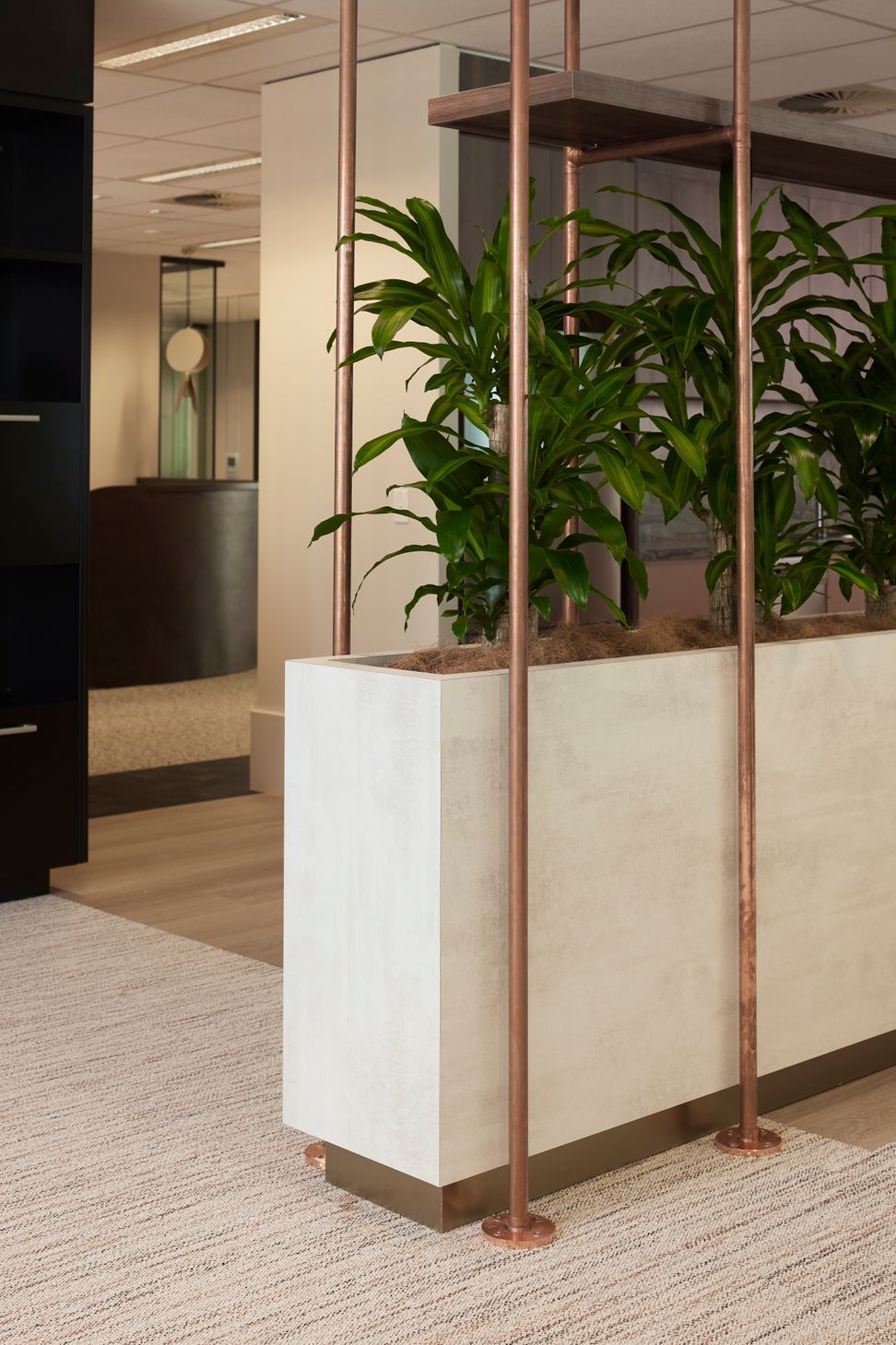 Dexus, 3/145 Ann Street