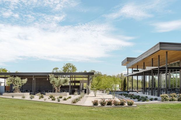 Wide exterior view of a contemporary low-rise building complex with flat roofs, extensive floor-to-ceiling glazing, dark metal framing, and warm timber soffits. The building opens onto landscaped terraces and paved outdoor seating areas, with lawn and planted beds in the foreground under a bright sky.