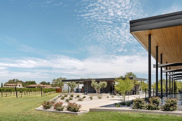 Wide exterior view of a contemporary single-storey property set within landscaped grounds and rows of vineyard planting. The composition features a broad flat-roofed pavilion or covered outdoor structure at right, with slender dark steel posts and a warm timber-lined soffit, alongside a low modern building in the centre. Pale paved terraces, garden beds, ornamental trees, and a long reflecting or swimming pool-like water feature define the foreground. The scene has an open rural setting under a bright blue sky.