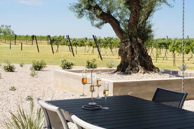 Outdoor dining area with a dark slatted table and contemporary chairs beside a raised concrete planter containing a mature olive tree. Gravel landscaping, ornamental planting, hanging lanterns, and a vineyard landscape are visible beyond.