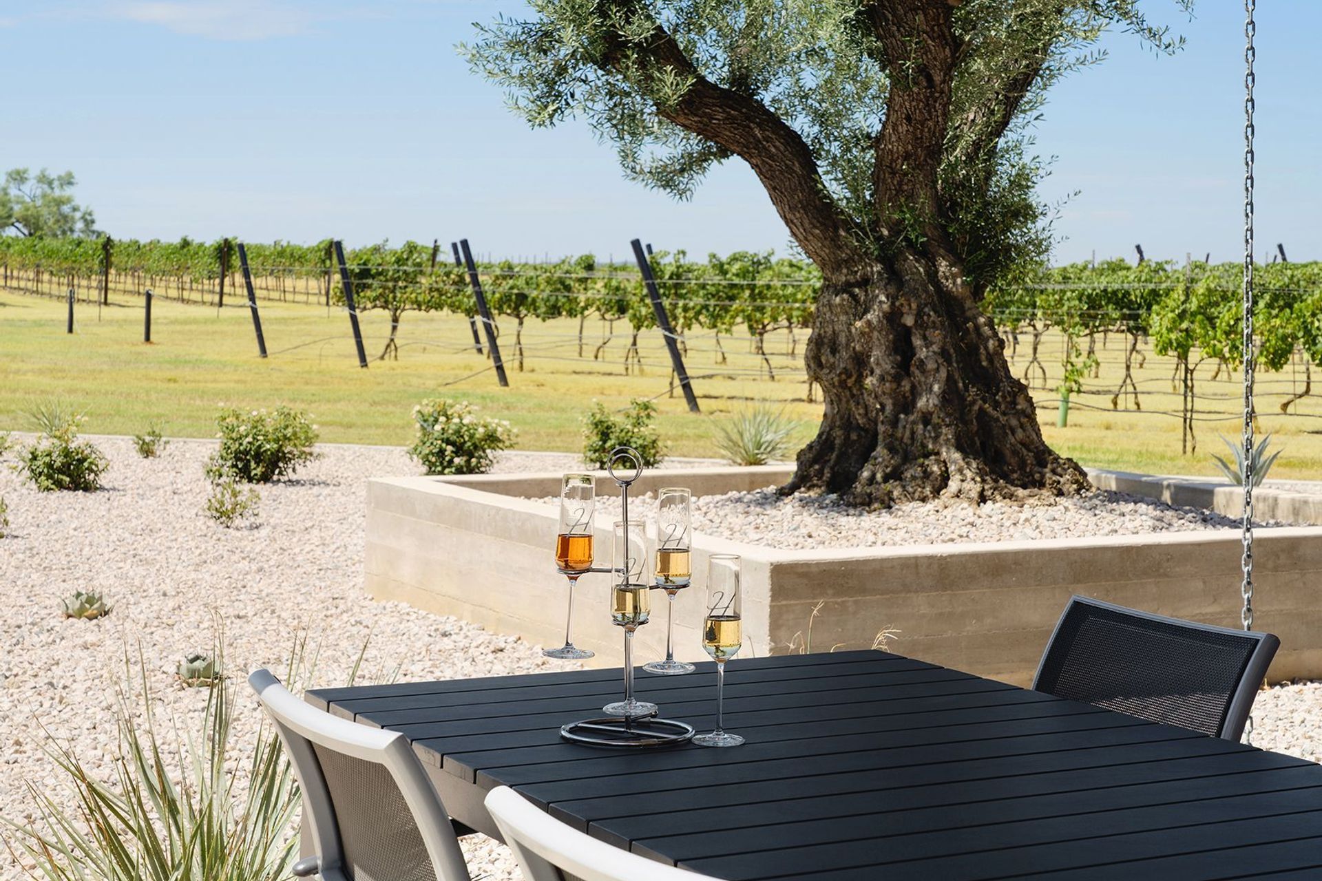 Heath-Sparkling-Wines-ALIGN-Austin-Architects-18.jpg