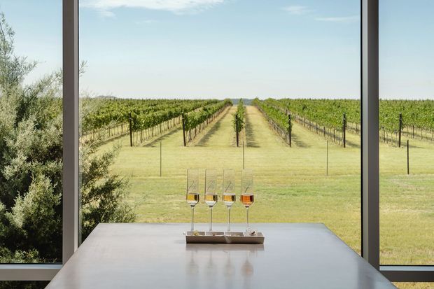 A minimalist interior vignette with a large floor-to-ceiling window framing rows of a vineyard. A smooth pale dining or display table occupies the foreground, holding four wine glasses with different wine colours on a narrow tray. Dark slender window frames contrast with the bright rural landscape outside, creating a clean, tranquil wine-country setting.
