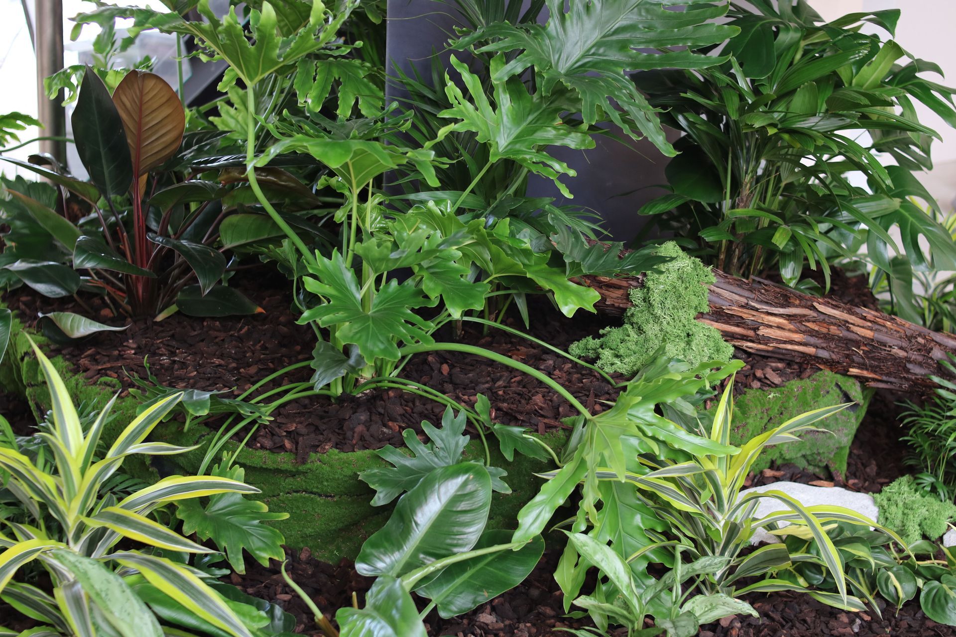 IFP-VRM-IGG-IKP-Inbuilt-garden-Quantum-1025-12.JPG