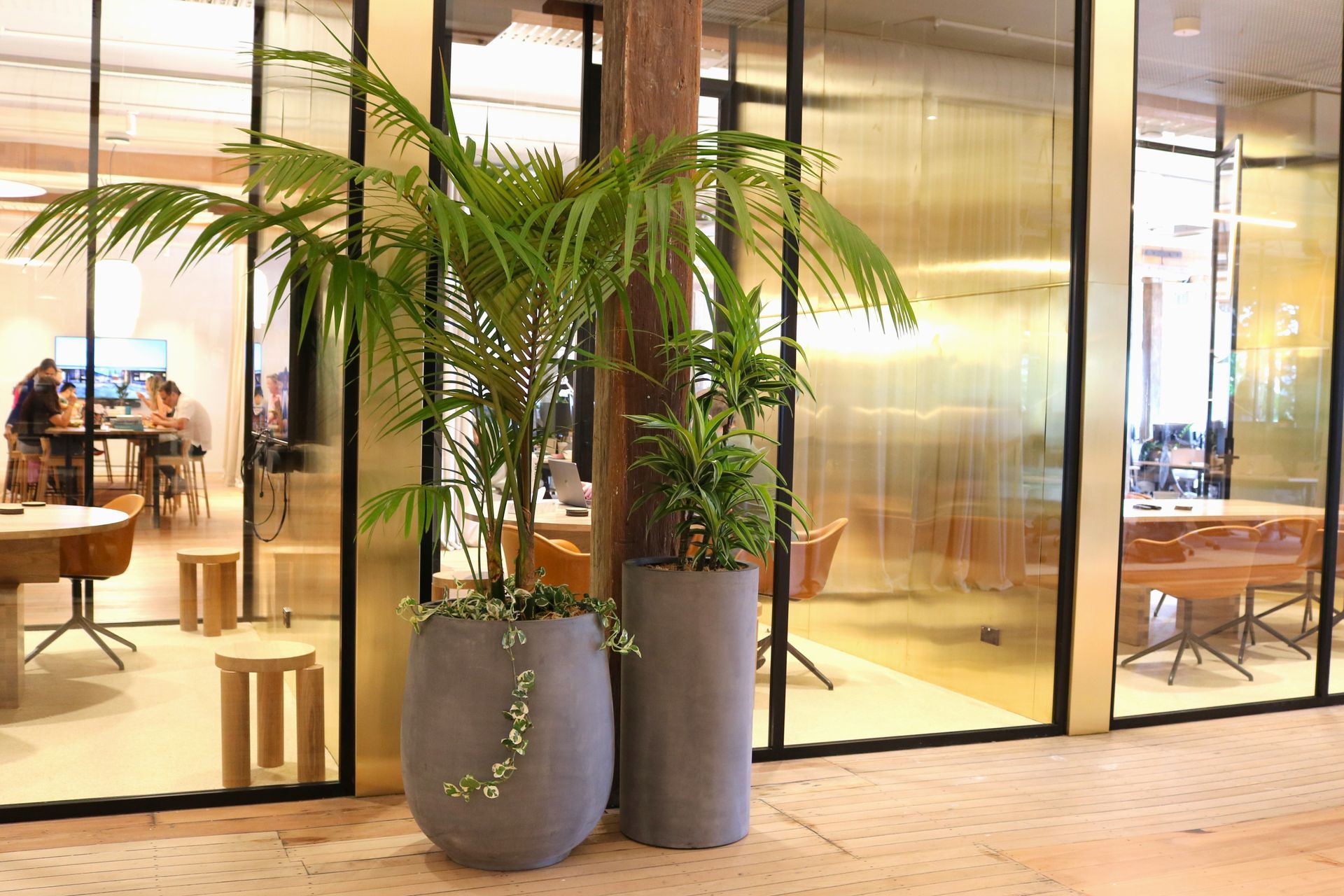 Archipro