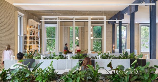 A bright, open-plan commercial interior with a planted foreground and a communal workspace or hospitality-style area beyond. The space features exposed warm-toned brick walls, pale timber ceiling slats, large black-framed windows, dark exposed structural beams, white geometric partition framing, abundant indoor greenery, shelving, pendant globe lights, and people using the shared space. The architecture combines an industrial shell with a contemporary biophilic fit-out.