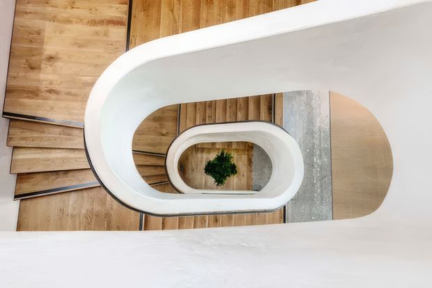 Top-down view through a sculptural stairwell with a smooth white curved balustrade enclosing a central void. Timber-clad steps and walls surround the opening, with a grey concrete or stone landing and a small plant visible at the lower level. The composition emphasizes the organic oval geometry and layered circulation space.
