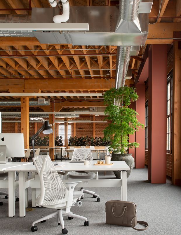 Open-plan office interior with white desks and ergonomic mesh office chairs arranged beneath an exposed timber-truss ceiling. Exposed silver HVAC ductwork, brick walls, large windows, warm timber columns, and red-painted structural piers create an industrial adaptive-workplace setting. A large potted tree and indoor planting soften the space, while grey carpet covers the floor.