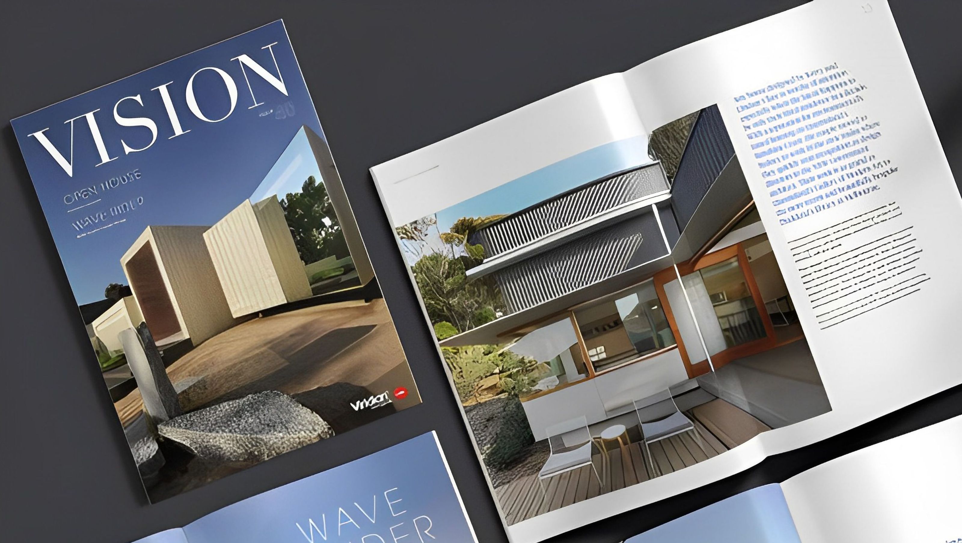 Vision Magazine