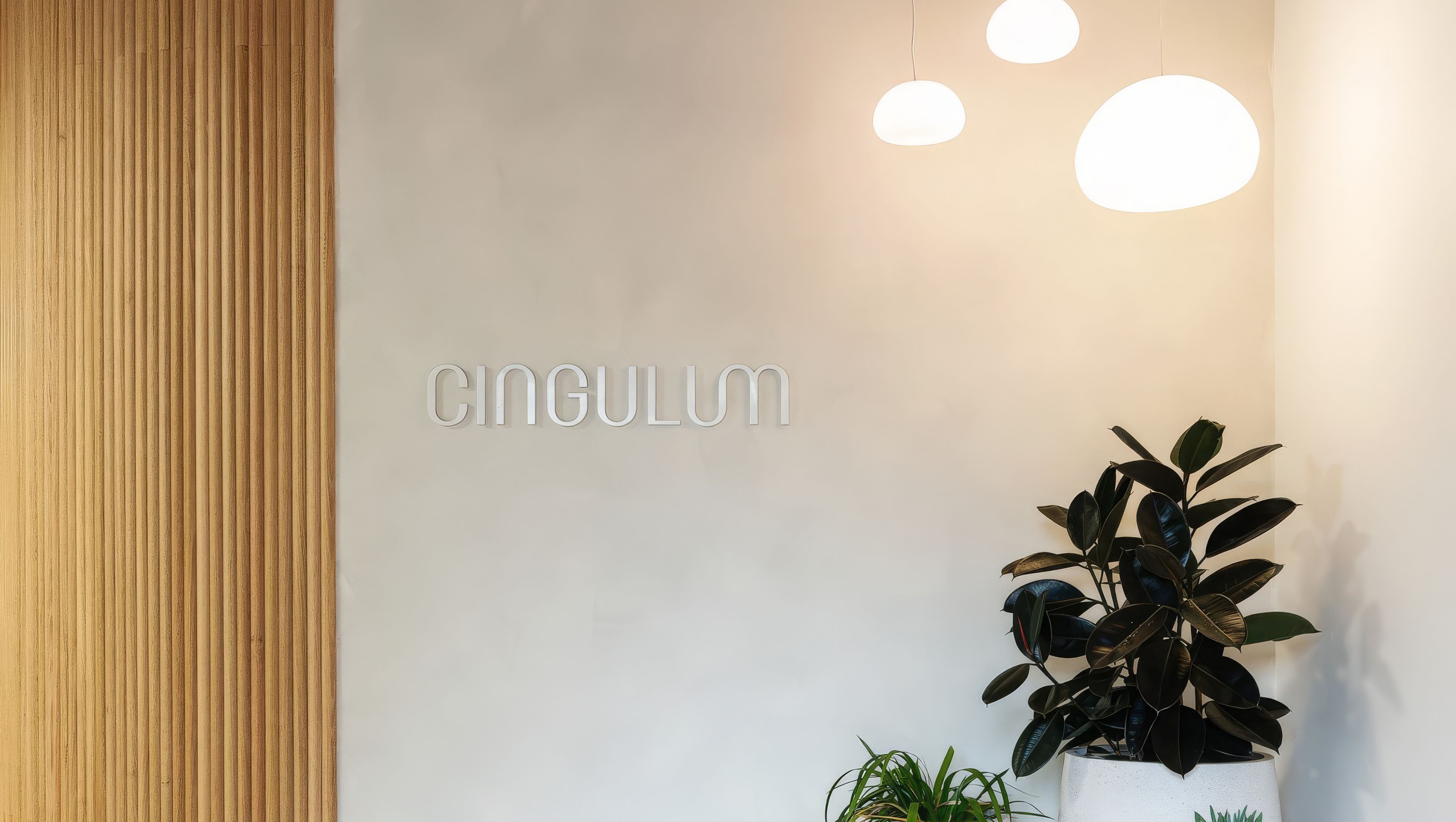 Cingulum
