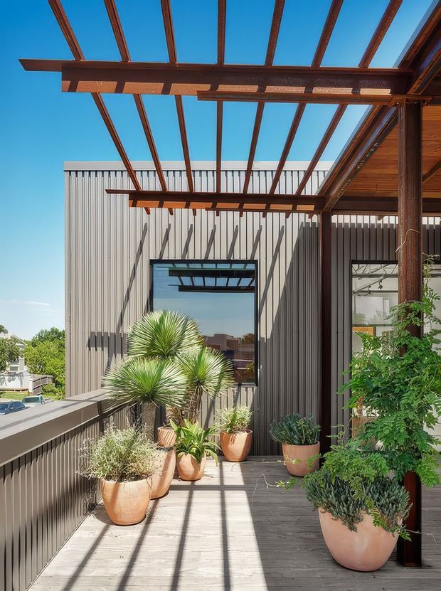 A bright elevated outdoor terrace or balcony with timber decking, a dark vertically corrugated metal-clad wall, and a timber pergola with exposed beams casting linear shadows. Numerous potted plants line the walkway, while glazing and a doorway connect to the building interior. The scene has a warm, modern architectural character with strong indoor-outdoor connection.