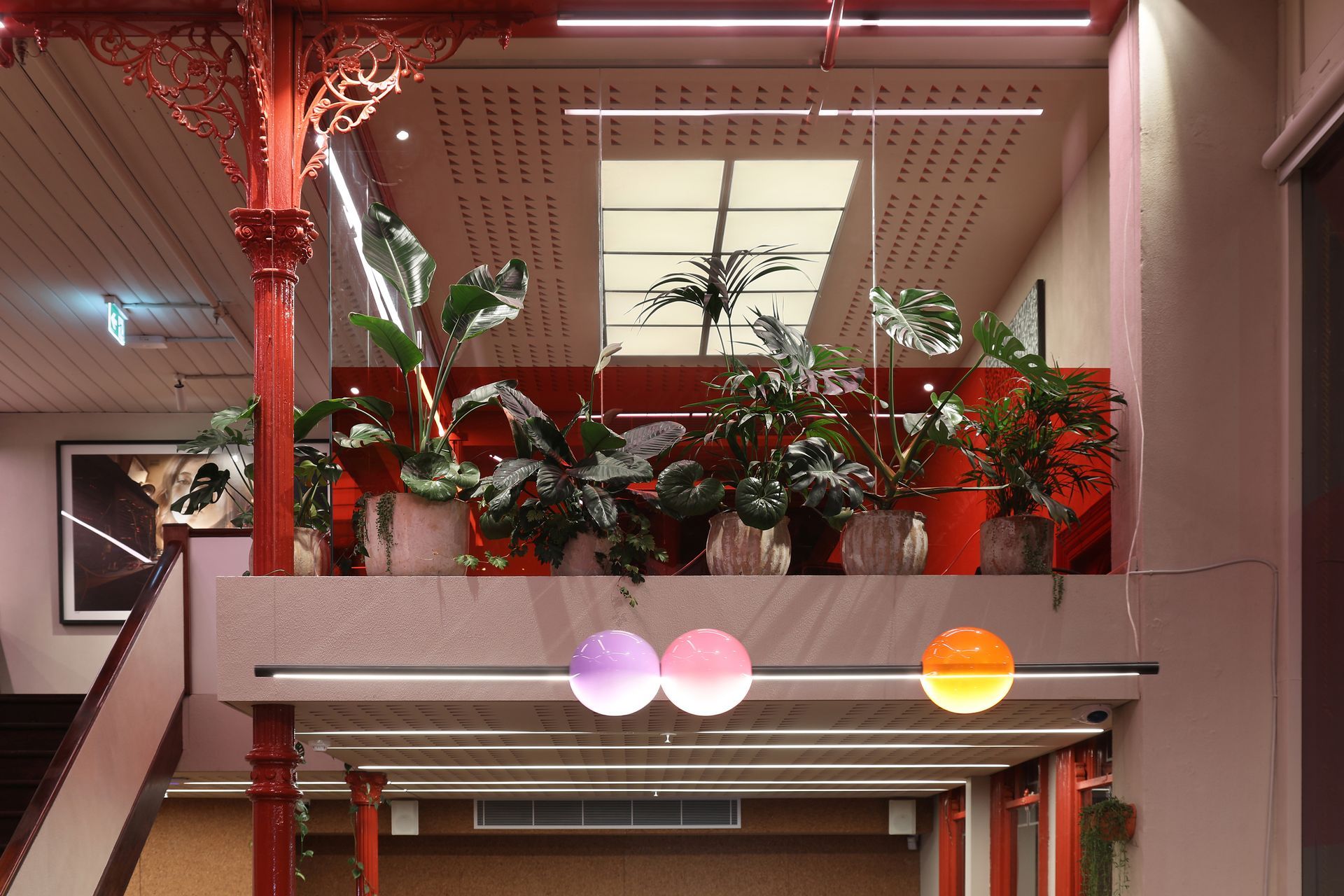 imgco-054-p.jpg