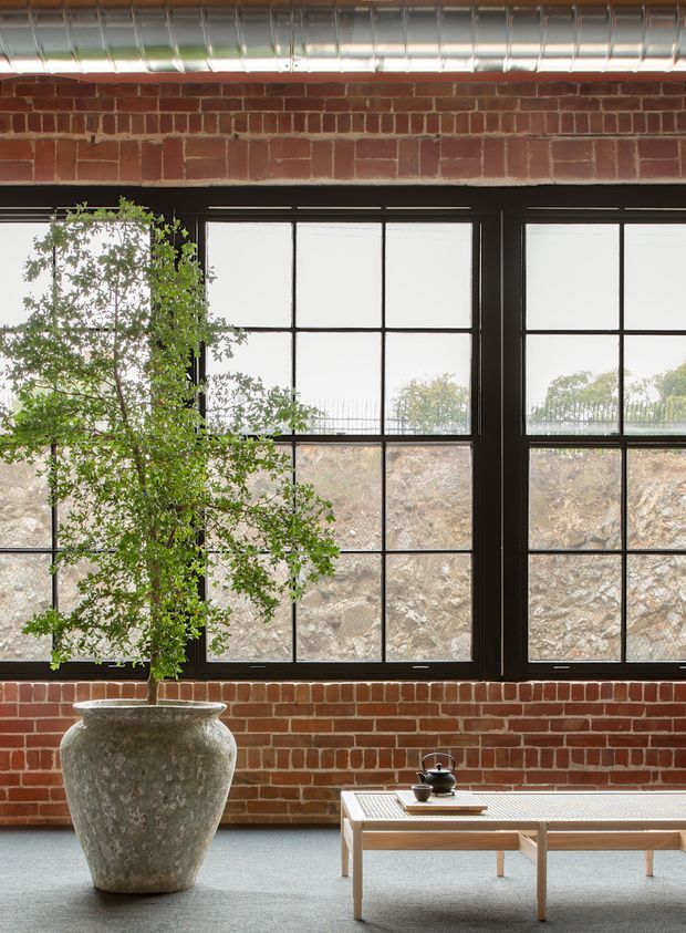 A bright industrial-style interior with exposed red brick walls, black steel-framed gridded windows, and an exposed cylindrical metal duct running near the ceiling. A large leafy tree in a weathered stone planter stands beside a light timber coffee table with a dark ceramic tea set. The room has a calm, natural atmosphere with views of rocky terrain and vegetation through the windows.