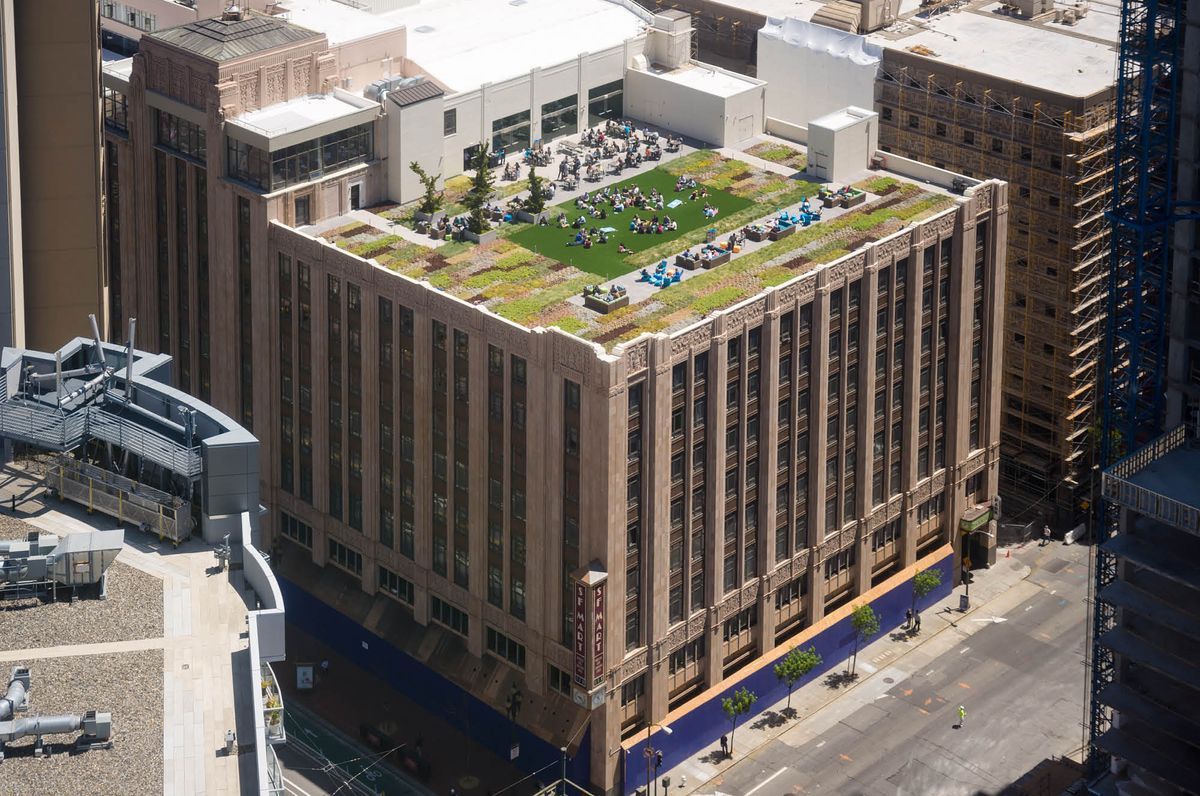 Heart of the Campus | 1355 Market Roof Deck