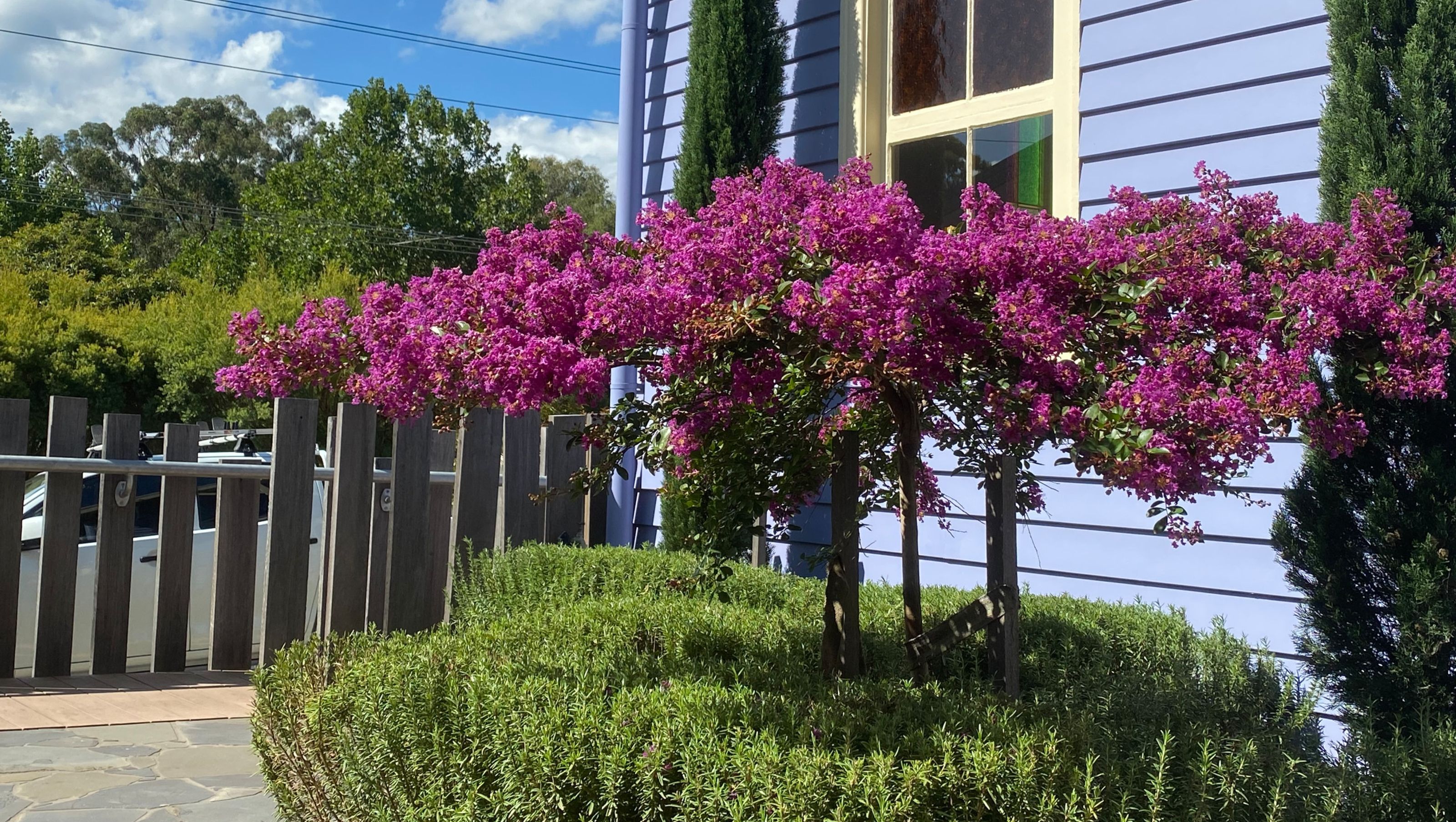 Purple Church YarraValley