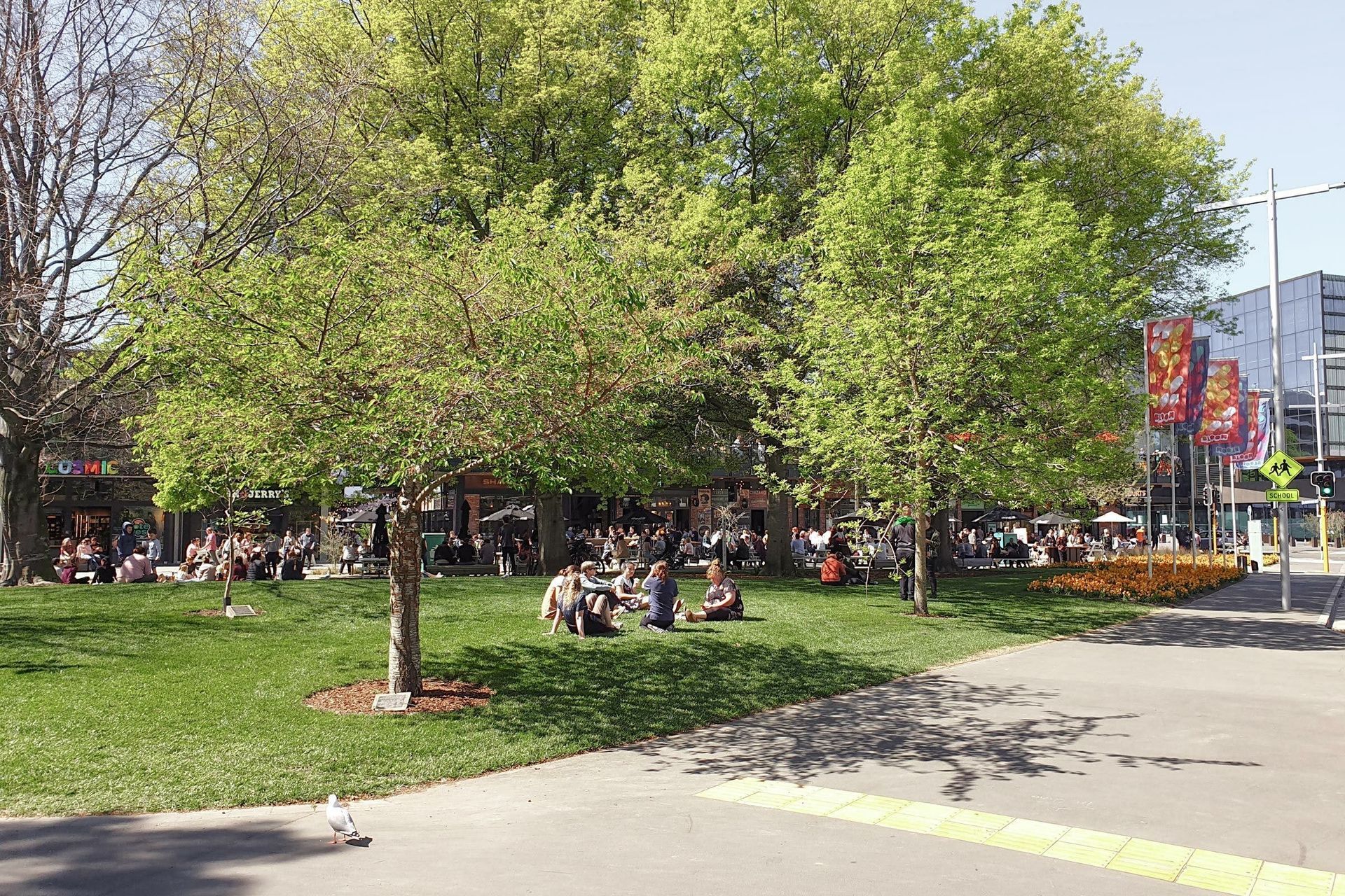 Avon River Precinct