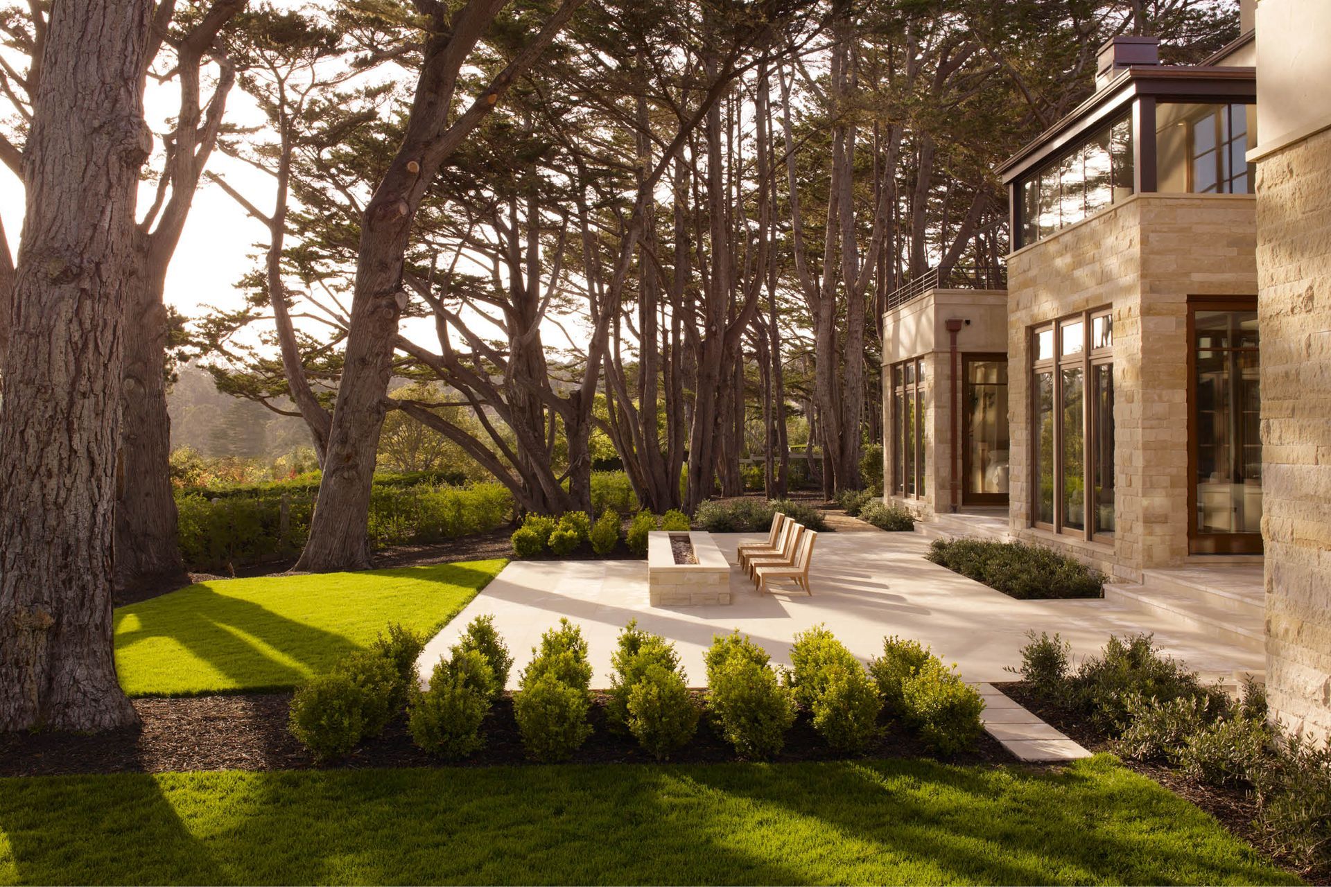 Cypress001.jpg