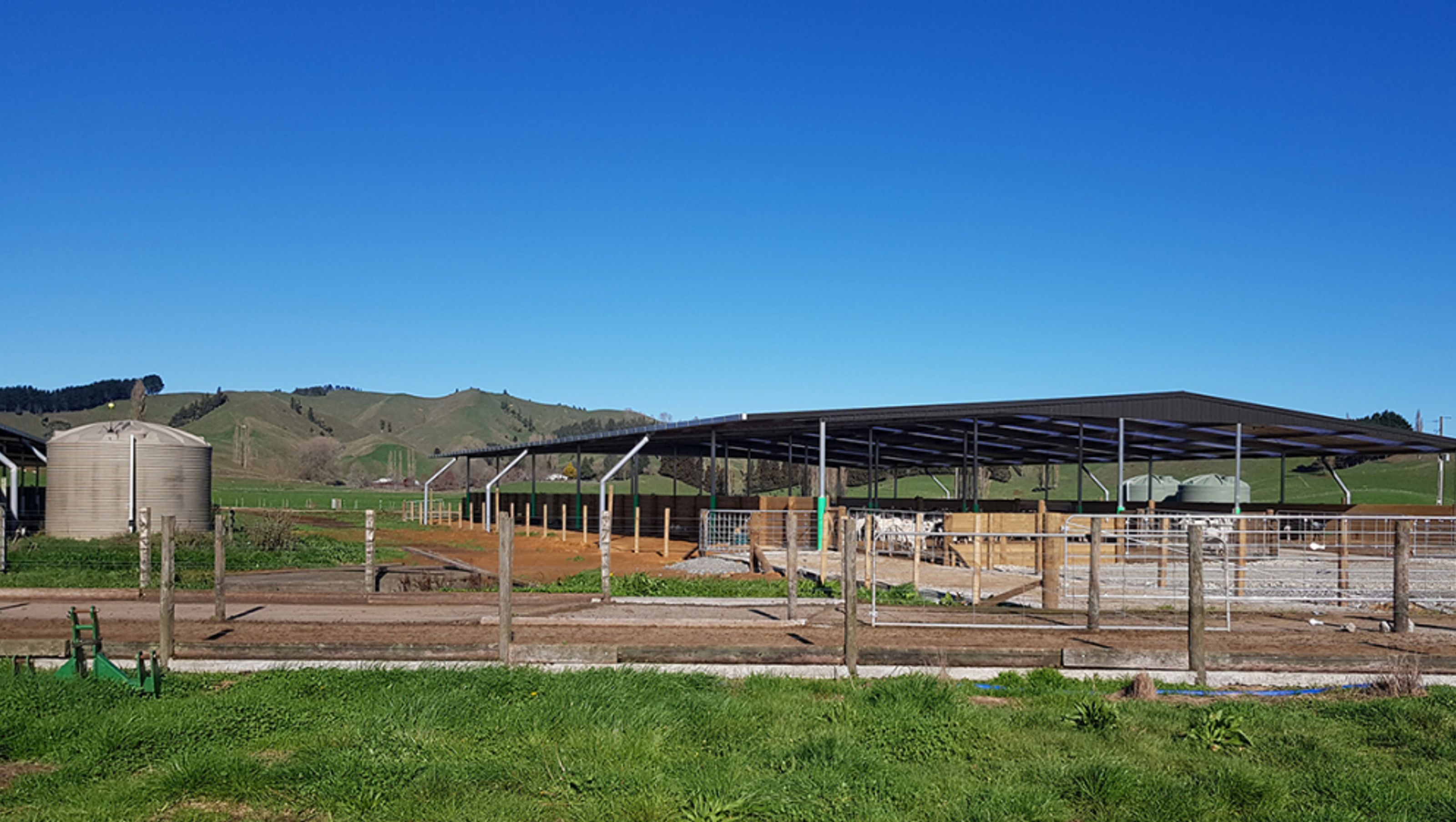 Pukerimu Dairy Goat Farm