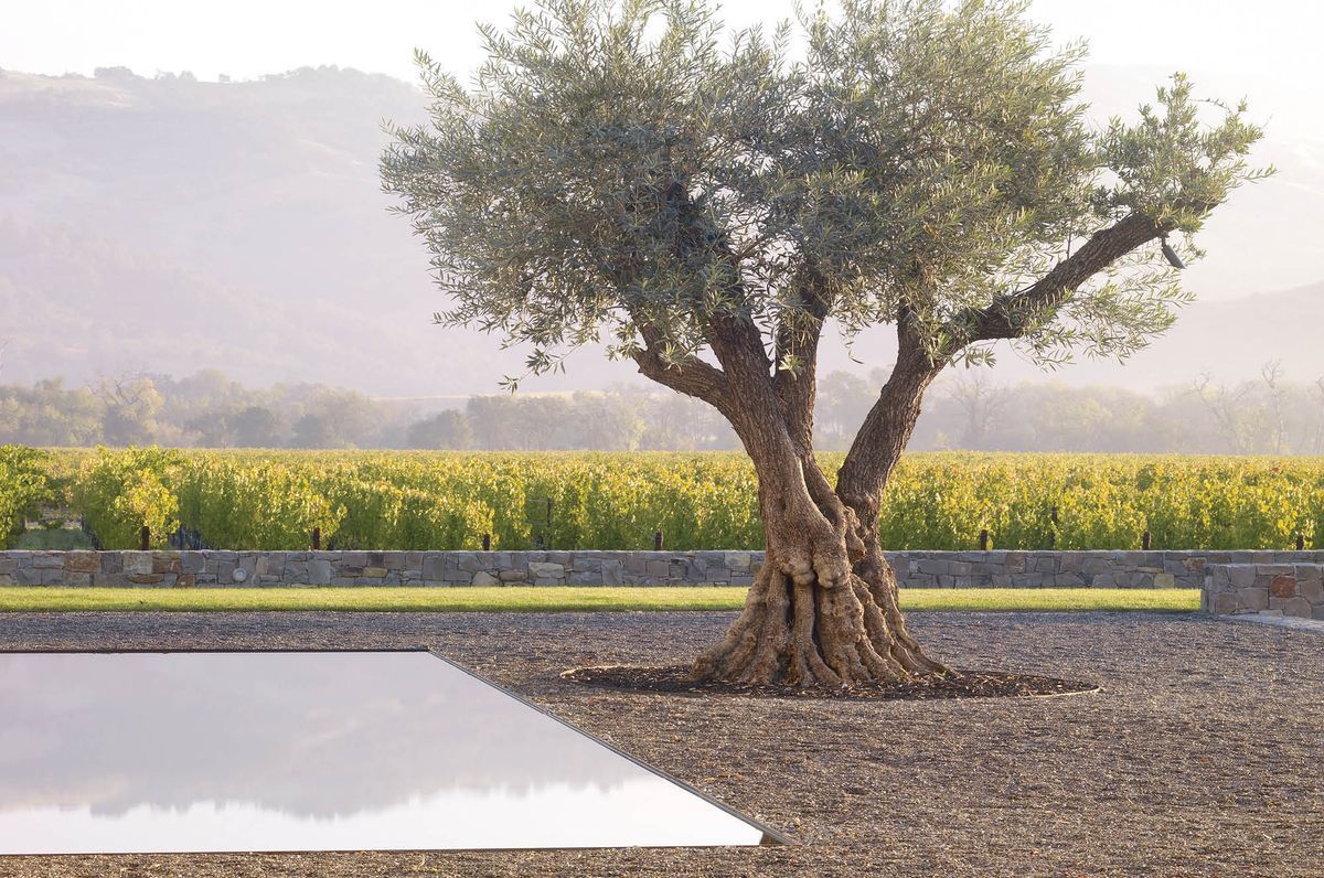 Design for a floodplain | Walden Studios