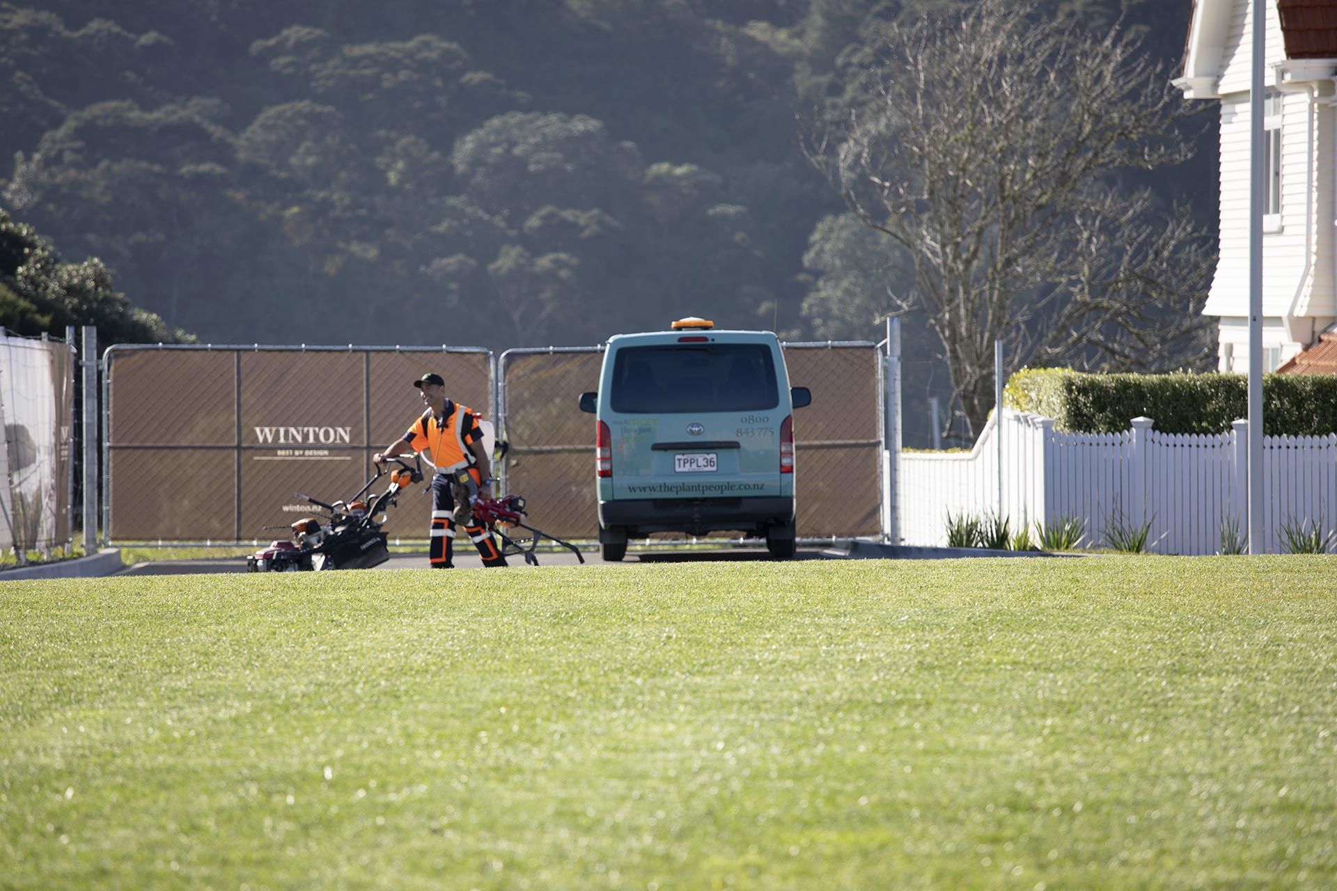 hobsonville-point-commercial-garden-maintenance-182A4415.jpg