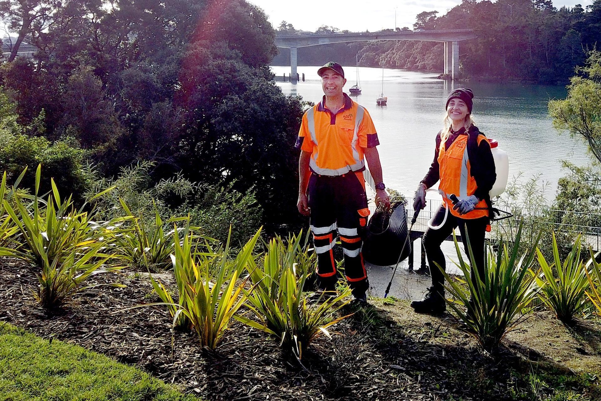 hobsonville-point-commercial-garden-maintenance-DJI0156-v3.jpg