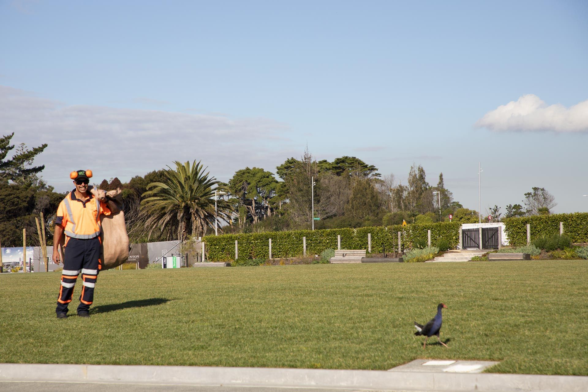 hobsonville-point-lawn-care-182A4459.jpg