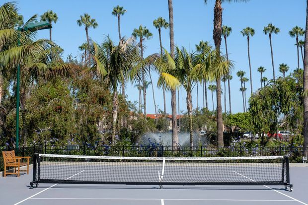 Outdoor tennis court with a central net, surrounded by tall palm trees, lush landscaping, and seating along the perimeter under a clear blue sky.