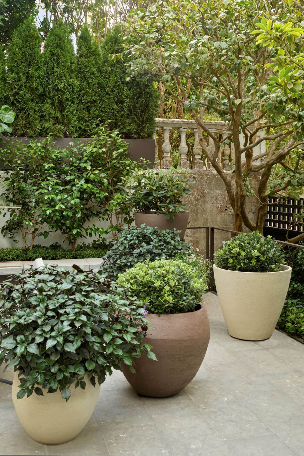 presidiogarden3.jpg
