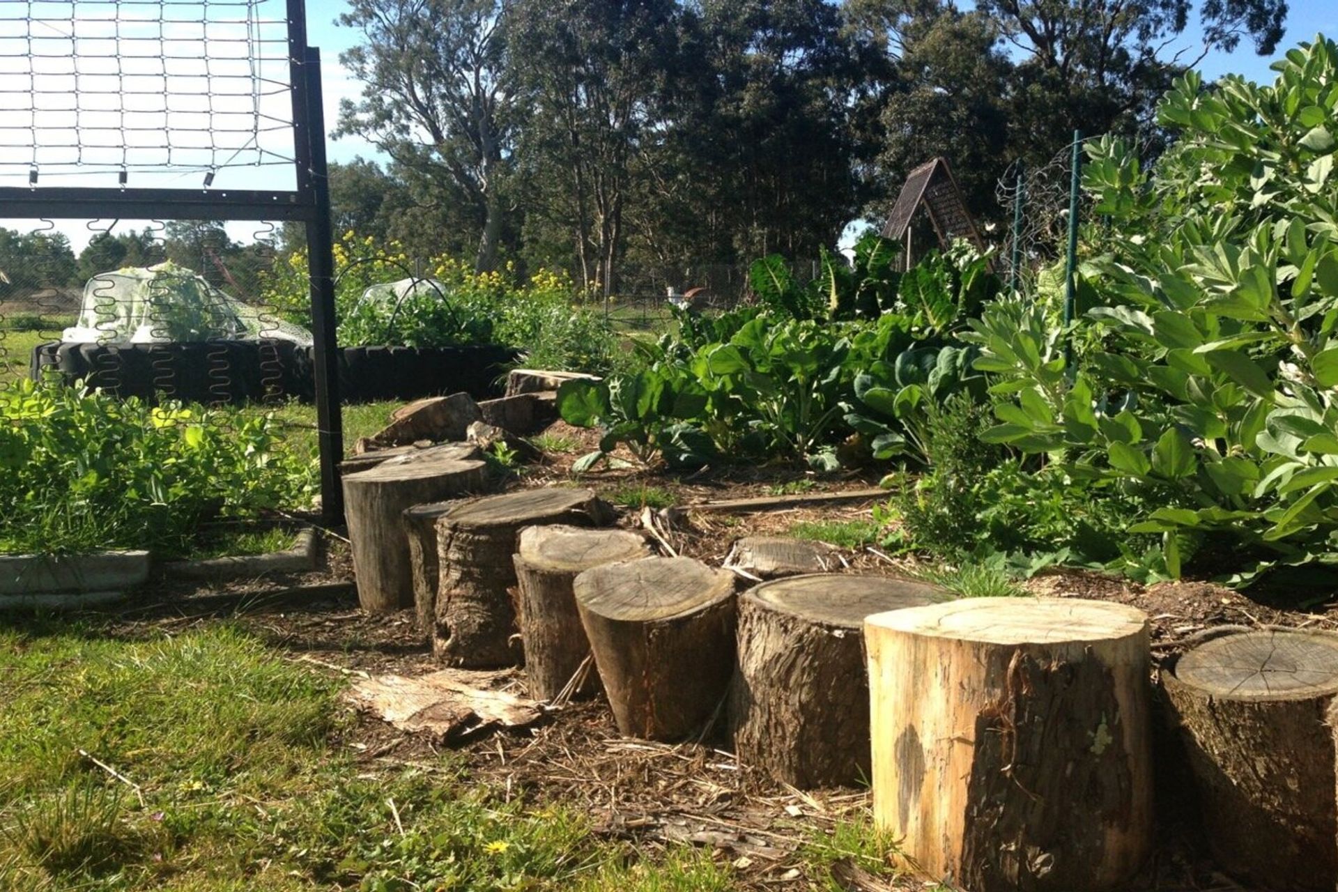 primaryschooldesignaustralia.jpg