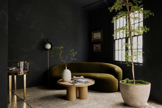 A moody, refined living room with charcoal-black walls, a tall multi-pane window, and a large indoor tree in a textured planter. An olive-green curved sofa faces a small round timber coffee table, complemented by a sculptural floor lamp, framed artwork, and a metallic side table. The space has a dark, atmospheric palette with warm natural accents and soft daylight.