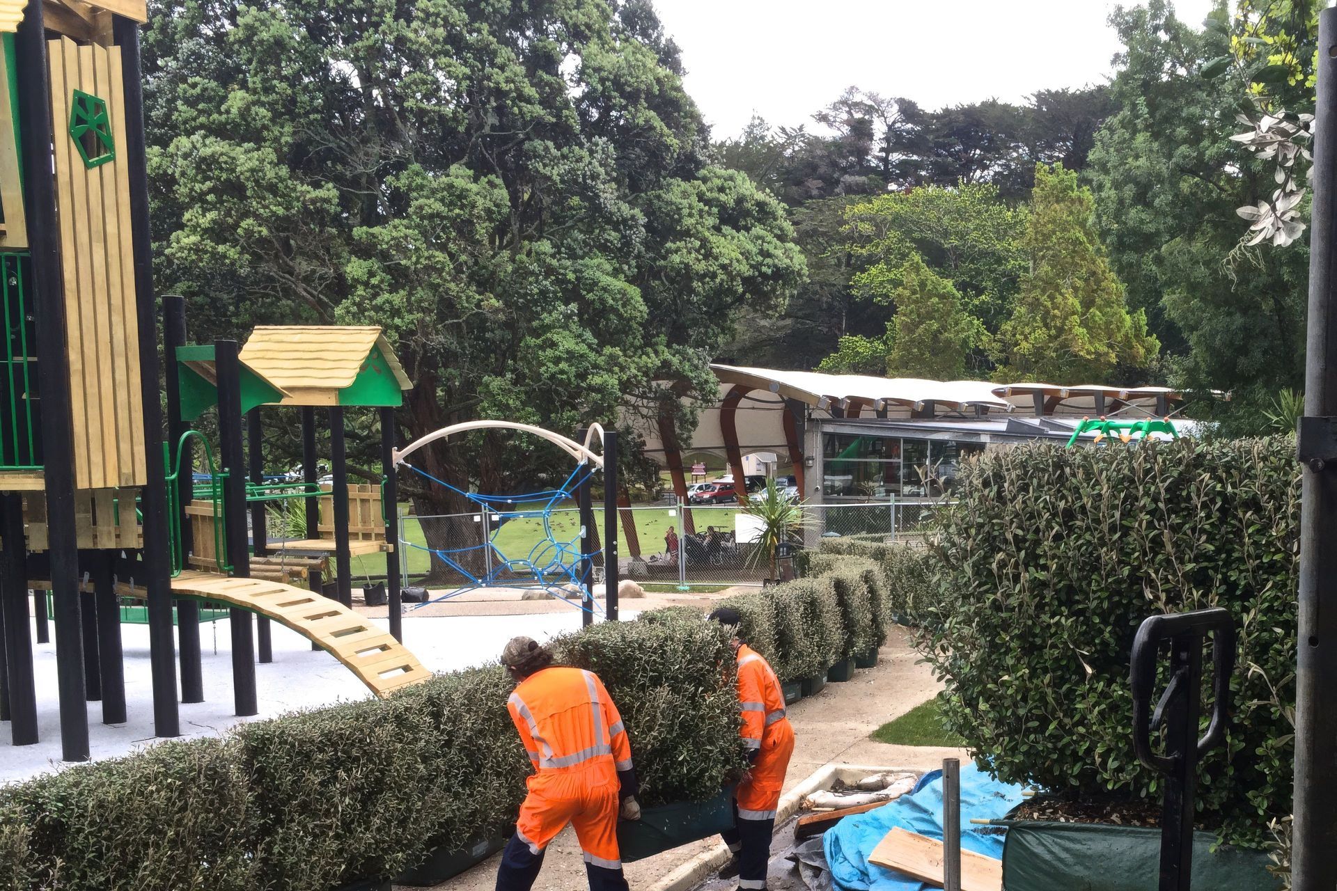 THE PROCESS - Living Walls™ instant hedges add a natural barrier, softening the look and feel of the required playground fencing.