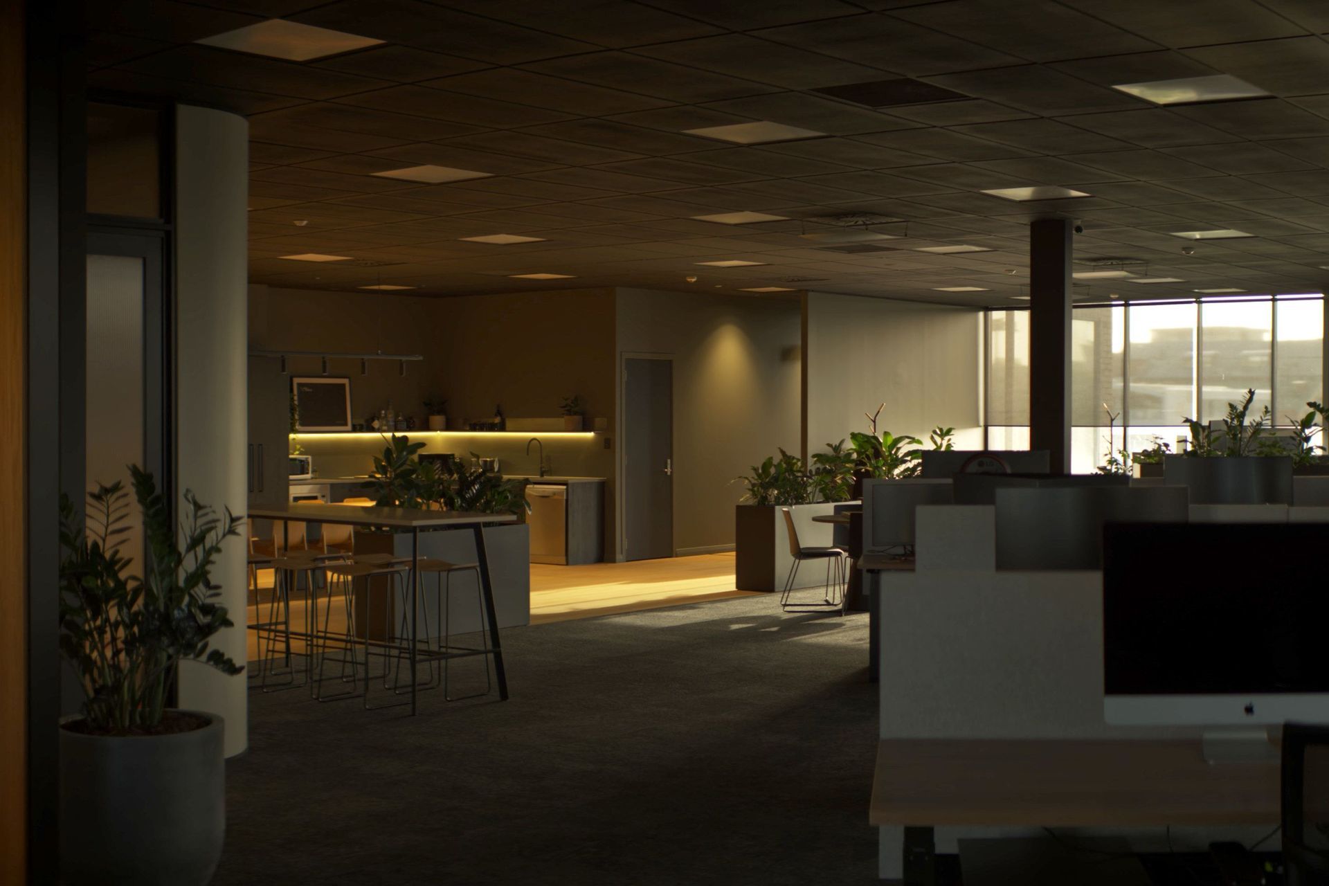 kate-pilot-design-nero-motion-commercial-auckland-nz-040.jpg