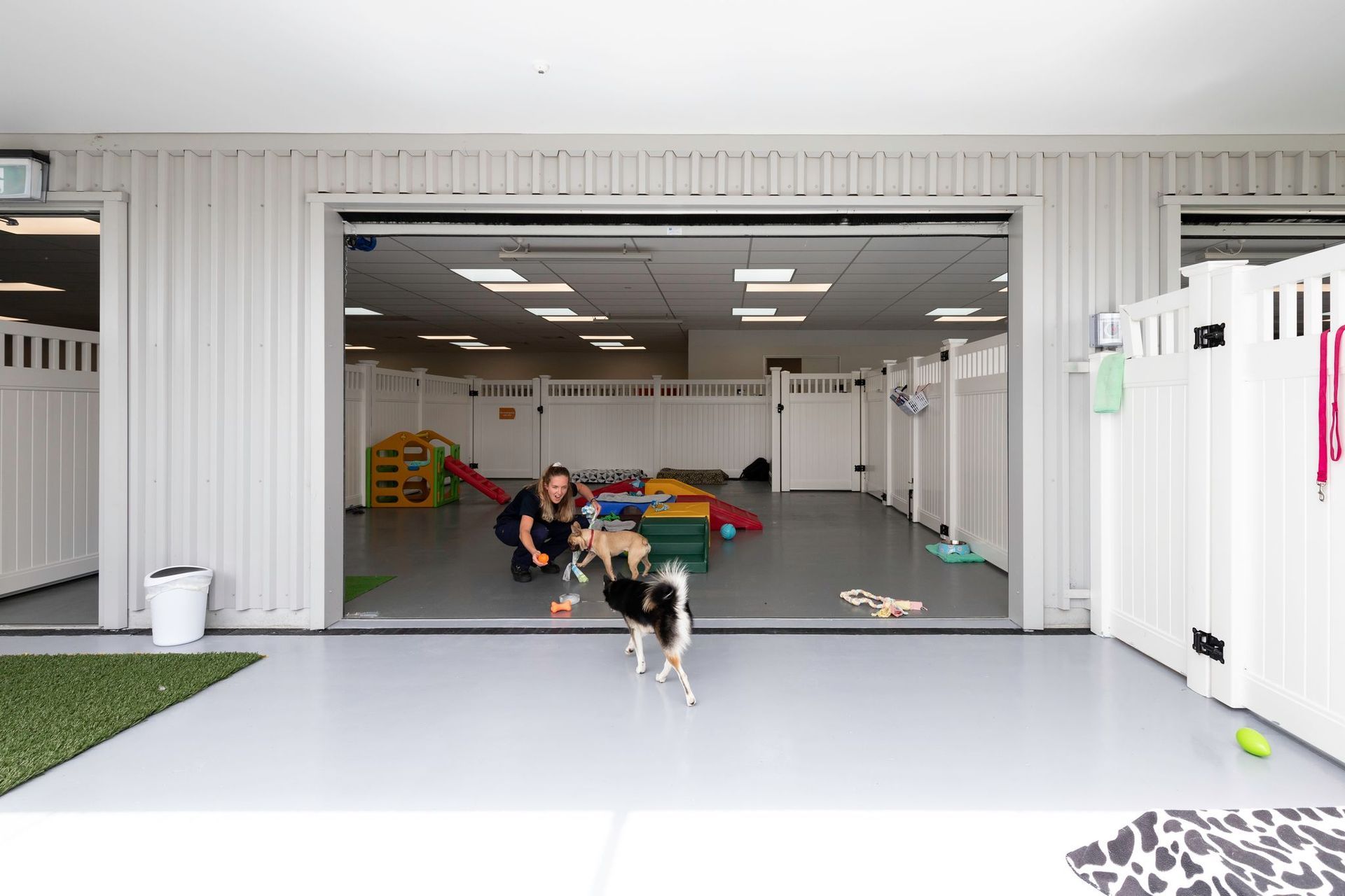 SPCA Hobsonville