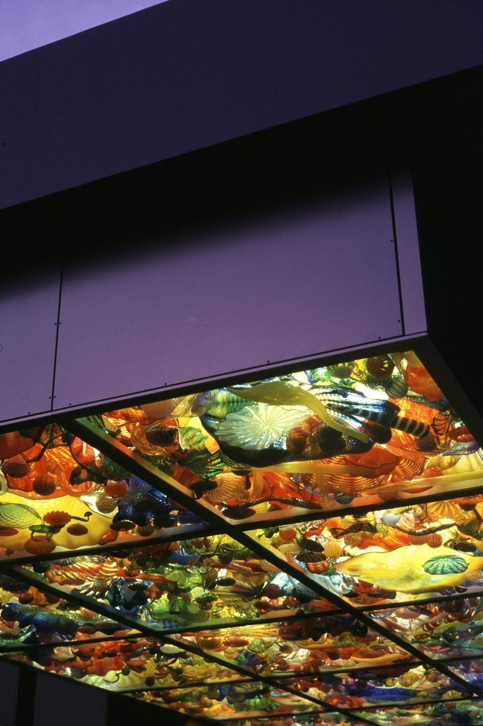 9515-Chihuly-Bridge-of-Glass-XTim-Hursley-V-Ceiling-Detail-1-2.jpg