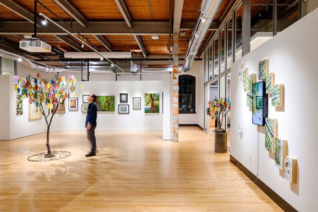 Bright contemporary art gallery interior with polished light timber flooring, white exhibition walls, extensive framed artwork, and a colourful sculptural tree installation. The space has an exposed timber ceiling with structural beams, visible mechanical ductwork, suspended track lighting, and a glazed partition opening to an adjacent area. A mezzanine-like upper level and industrial services are visible, creating a spacious adaptive gallery environment.