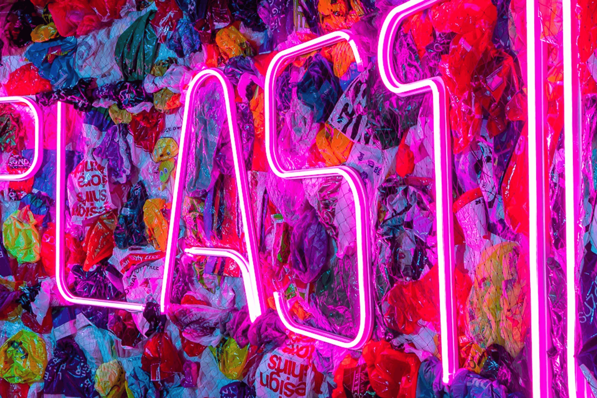 Vivid 2019