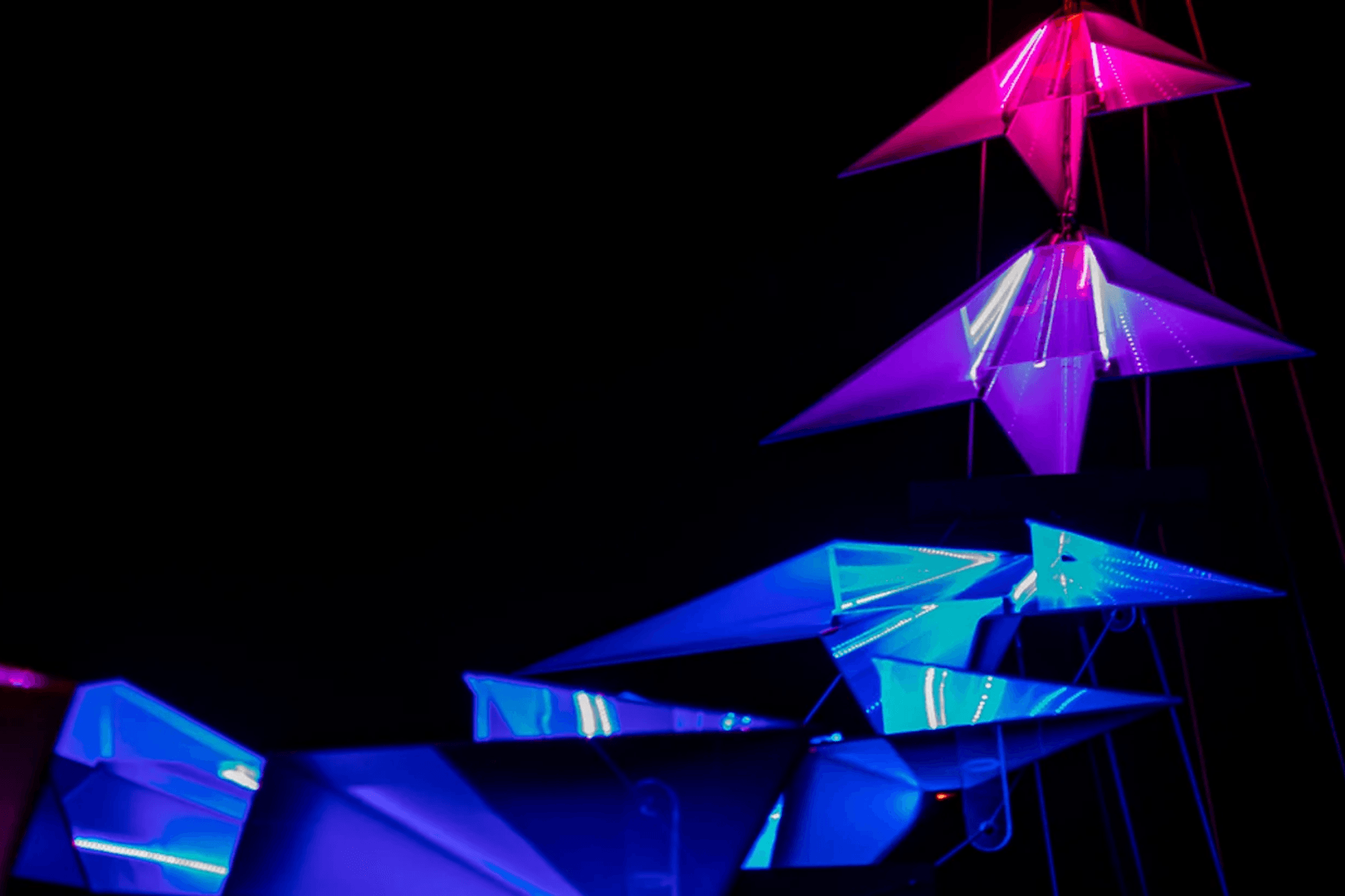 Vivid 2018