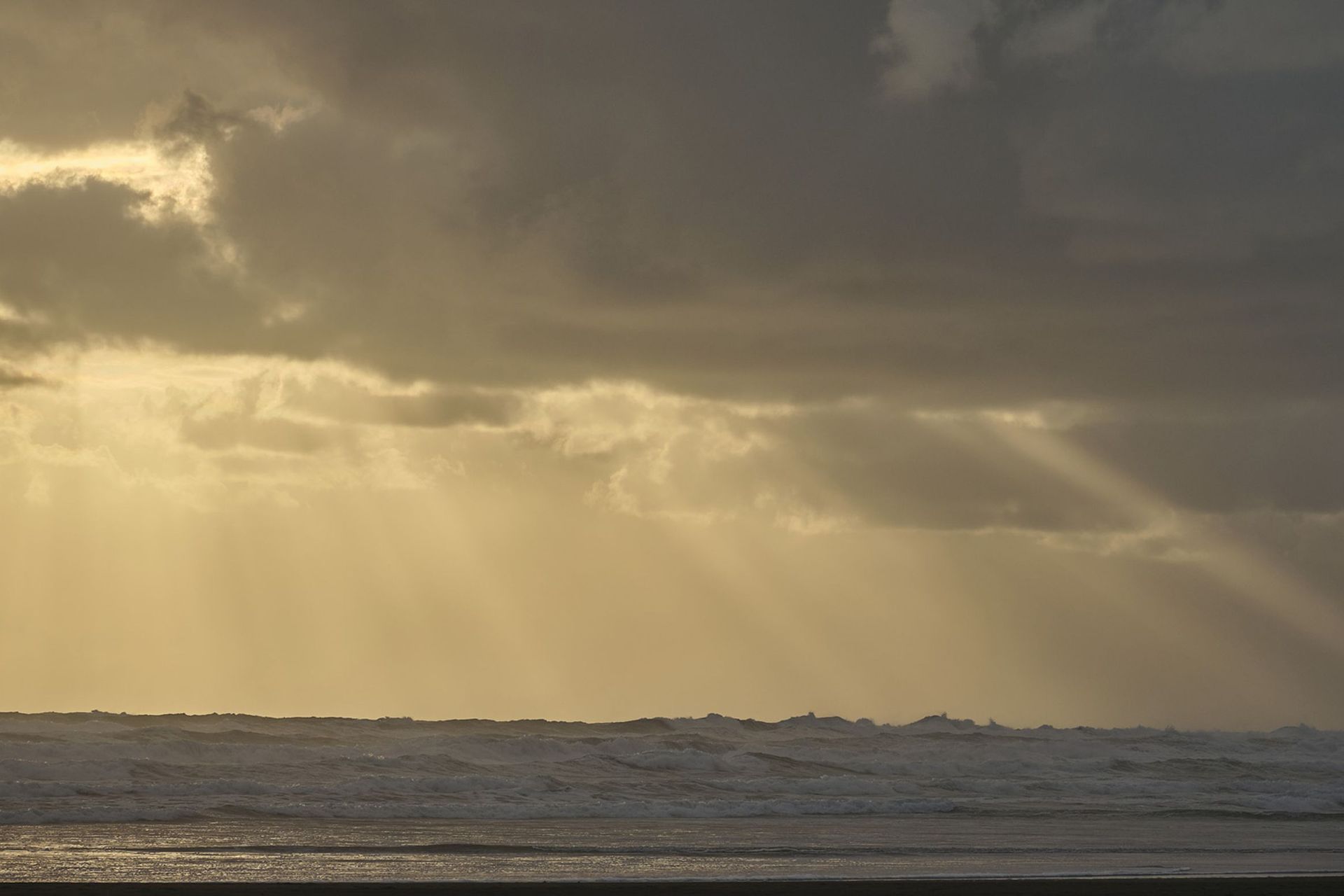 Te-Pae-North-Piha-Surf-Life-saving-Tower14.jpg