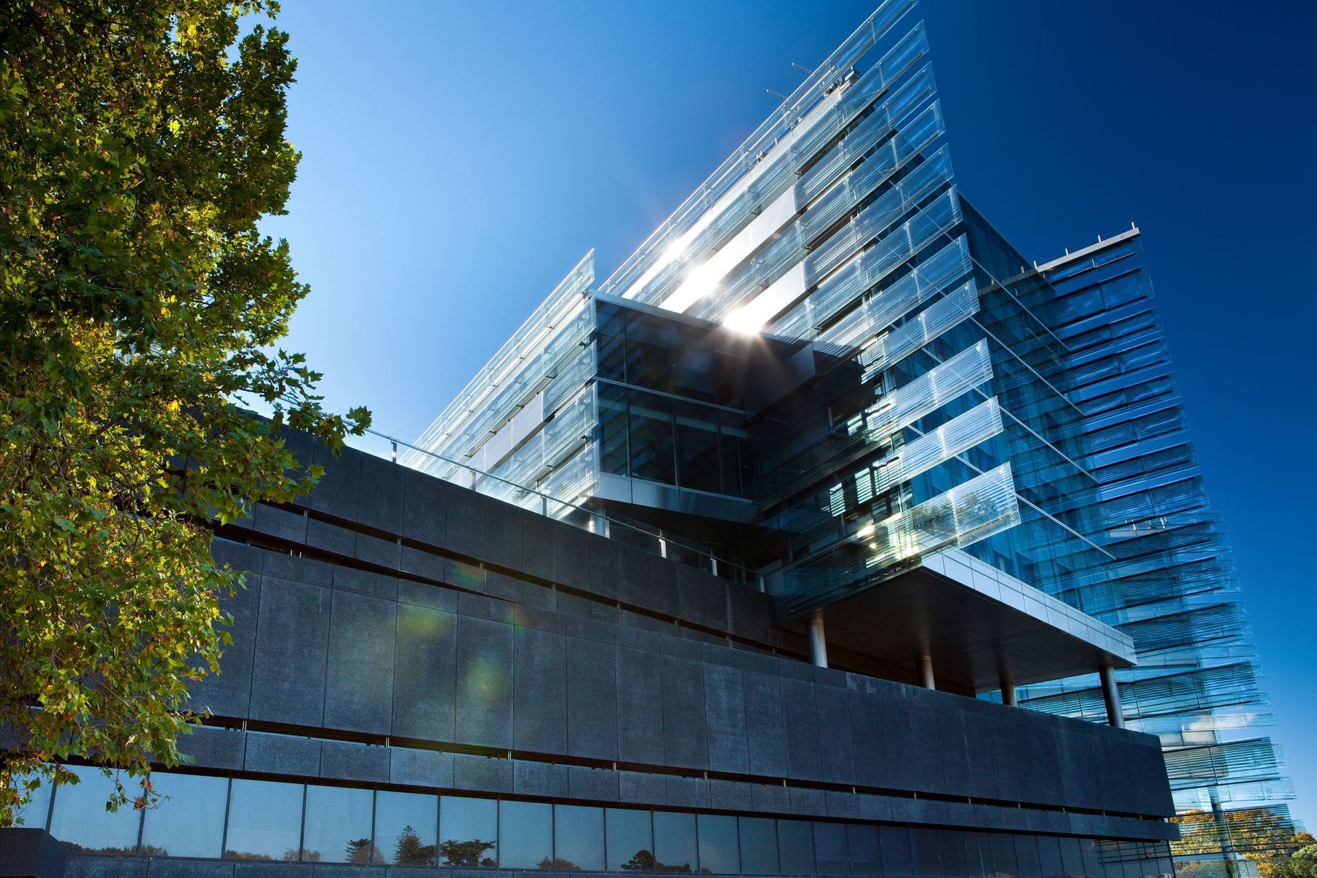 UOA Business School