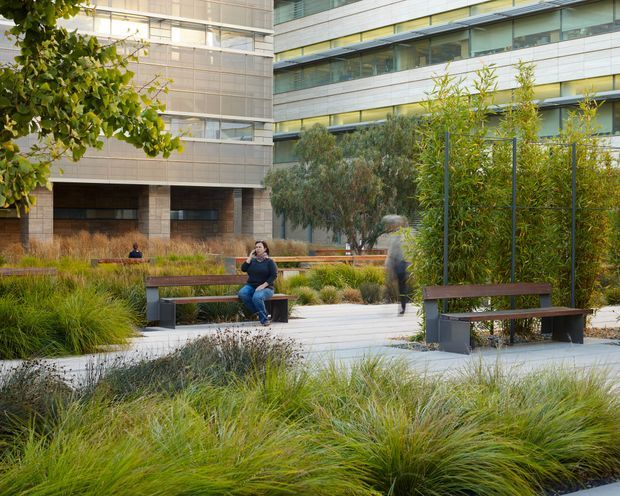 A landscaped urban courtyard or campus space between modern multi-storey buildings. Paved pedestrian paths pass through dense ornamental grasses, shrubs, and small trees, with timber-and-metal benches and several people using the seating and walkway. The surrounding buildings feature contemporary horizontal window bands, pale panel cladding, and recessed ground-level openings. The image has a calm, green, communal outdoor character.